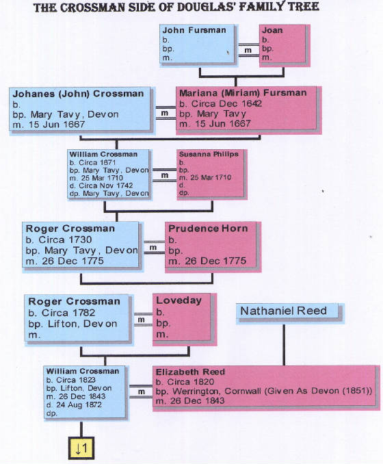 crossmansidetree1.jpg